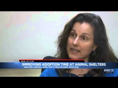Streamlined Pet Adoption Process Saves Time and Money in Denver