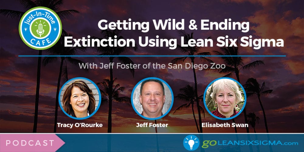 Ending Animal Extinction With Lean Six Sigma at the San Diego Zoo
