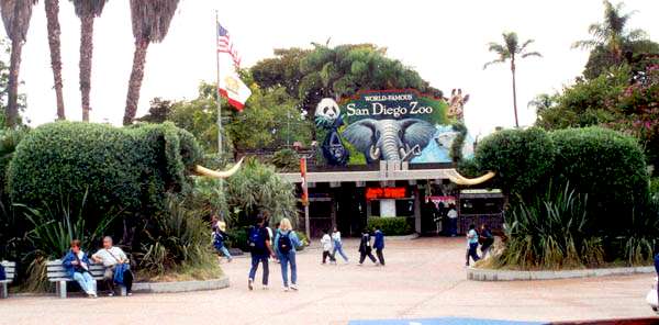 How the San Diego Zoo Captures Voice of the Customer