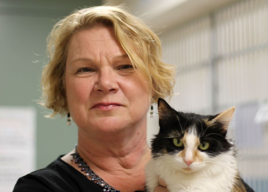 Loudoun County Animal Shelter Makes the Pet Adoption Process more Efficient